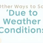 Other Ways to Say “Due to Weather Conditions”