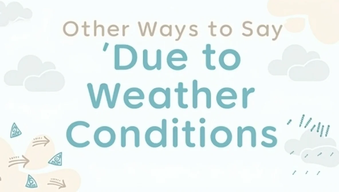 Other Ways to Say “Due to Weather Conditions”